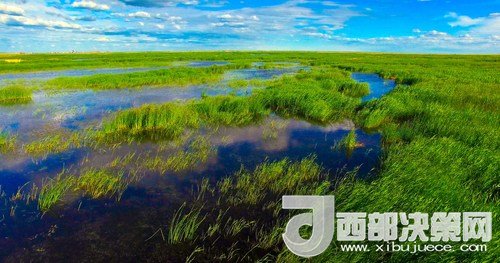 呼倫湖濕地。吳勇攝