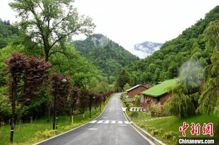 九寨溝熊貓園外景?！【耪瘻峡h委宣傳部提供 攝