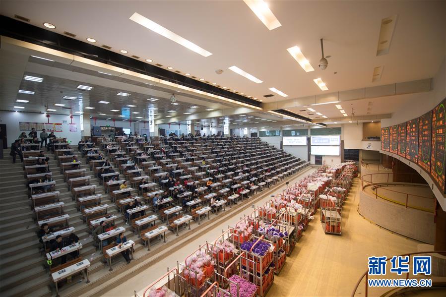 (新華全媒頭條·走向我們的小康生活·圖文互動(dòng))(9)綠染云嶺小康路——生態(tài)文明建設(shè)的云南實(shí)踐