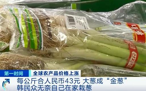 央視財經(jīng)報道截圖。