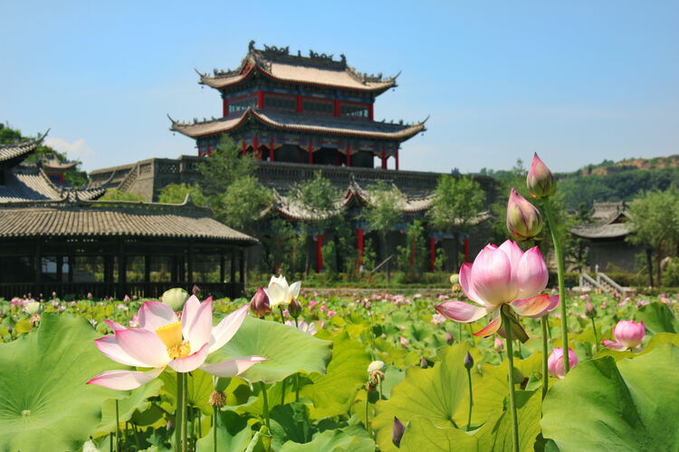 【云游渭南】心中若有桃花源，此處便是水云間！待疫情散盡，一起來渭南桃花源賞美景、觀民俗、享美食_fororder_2